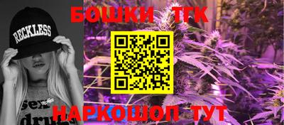 МДПВ Будённовск