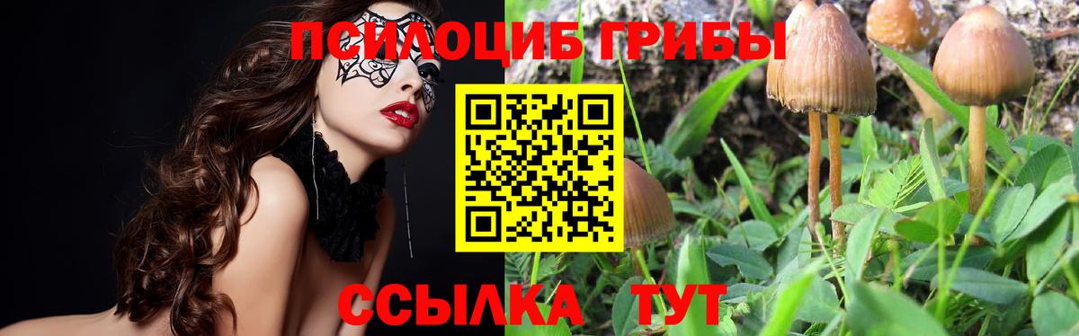 Галлюциногенные грибы Psilocybine cubensis  Вход с VPN  Лобня  Галлюциногенные грибы Cubensis 
