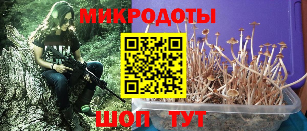 Псилоцибиновые грибы ЛСД Лобня
